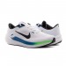 Кросівки Nike Air Winflo 10 DV4022-103