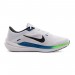 Кросівки Nike Air Winflo 10 DV4022-103