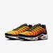 Кроссовки Nike Air Max Plus HF0552-001