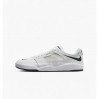 Кроссовки Nike Sb Ishod Wair Premium White Dz5648-101 41 DZ5648-101