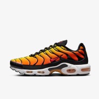 Кроссовки Nike Air Max Plus HF0552-001
