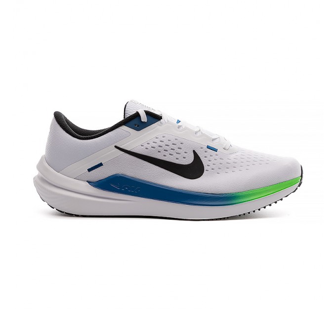 Кросівки Nike Air Winflo 10 DV4022-103