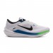 Кросівки Nike Air Winflo 10 DV4022-103