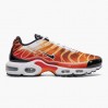Кроссовки Nike Air Max Plus Og DZ3531-600