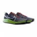 Кроссовки Nike React Pegasus Trail 4 DJ6158-403