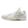 Кроссовки Nike Zoom Kd 3 DZ3009-100