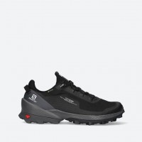 Кросівки Чоловічі Salomon Cross Over Gtx Gore-Tex 412861