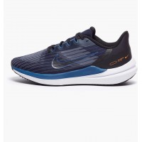 Кросівки Nike Air Winflo 9 DD6203-400