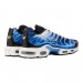 Кроссовки Nike Air Max Plus Og DZ3531-400