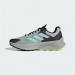Кросівки Adidas Terrex Soulstride Flow Gore-Tex IF5009