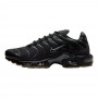 Кроссовки Nike Air Max Plus FV0385-001