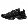 Кроссовки Nike Air Max Plus FV0385-001