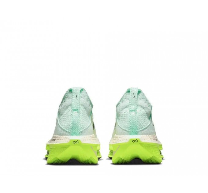 Кроссовки Nike Air Zoom Alphafly Next 2 DV9422-300