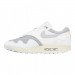 Кроссовки Nike Air Max 1 Patta DQ0299-100