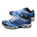 Кроссовки Nike Air Max Plus Og DZ3531-400