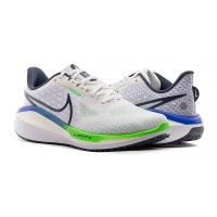 Кросівки Nike Vomero 17 FB1309-100