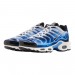 Кроссовки Nike Air Max Plus Og DZ3531-400