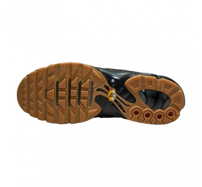 Кроссовки Nike Air Max Plus FV0385-001