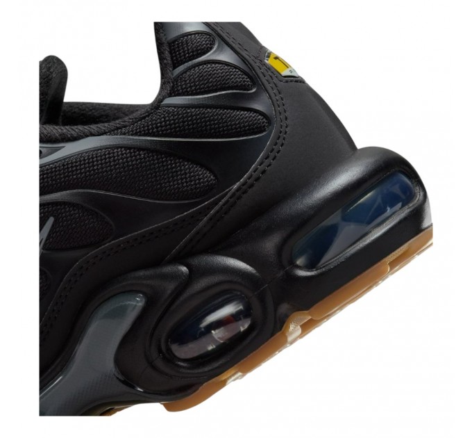 Кроссовки Nike Air Max Plus FV0385-001