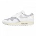 Кроссовки Nike Air Max 1 Patta DQ0299-100