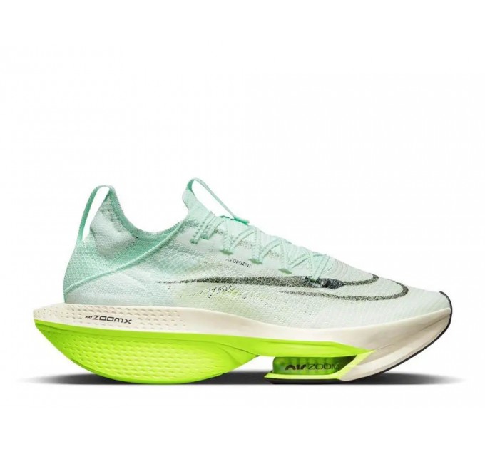 Кроссовки Nike Air Zoom Alphafly Next 2 DV9422-300