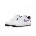 Кроссовки Nike Air Force 1 Low Hoops White Canyon Purple DH7440-100