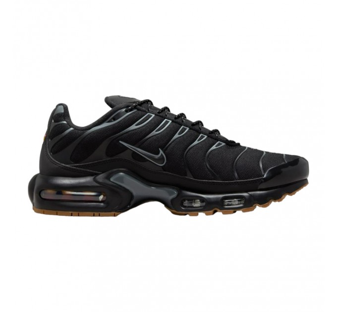 Кроссовки Nike Air Max Plus FV0385-001