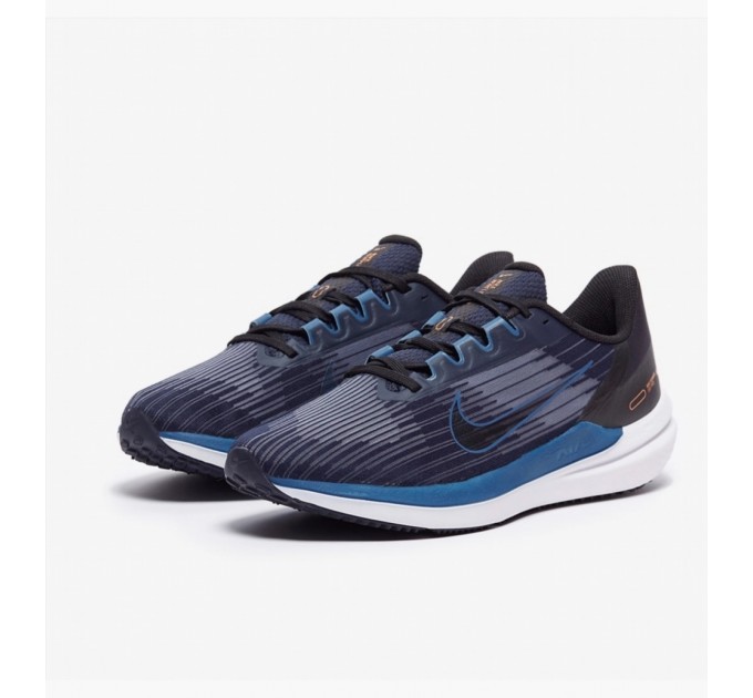 Кросівки Nike Air Winflo 9 DD6203-400