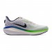 Кросівки Nike Vomero 17 FB1309-100