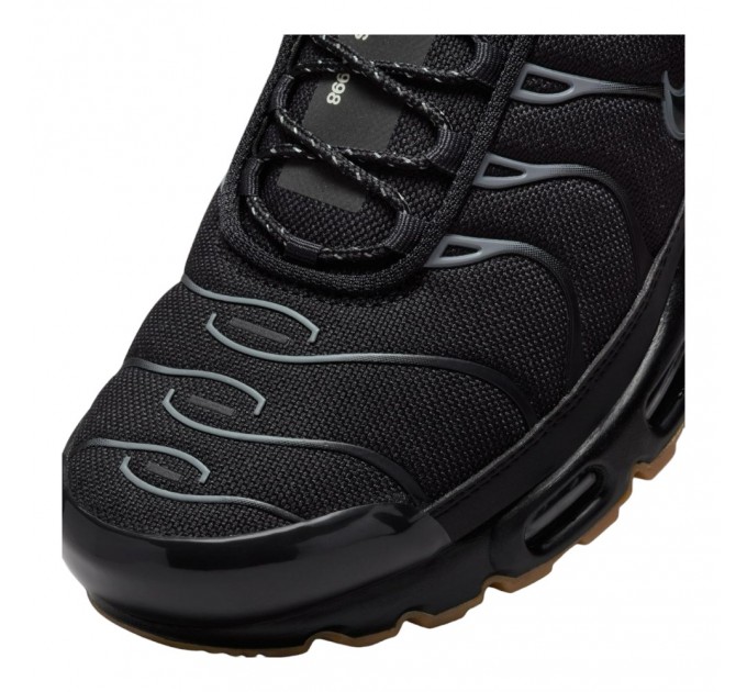 Кроссовки Nike Air Max Plus FV0385-001