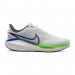 Кросівки Nike Vomero 17 FB1309-100