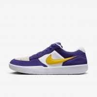 Кросівки Nike Sb Force 58 DV5477-500