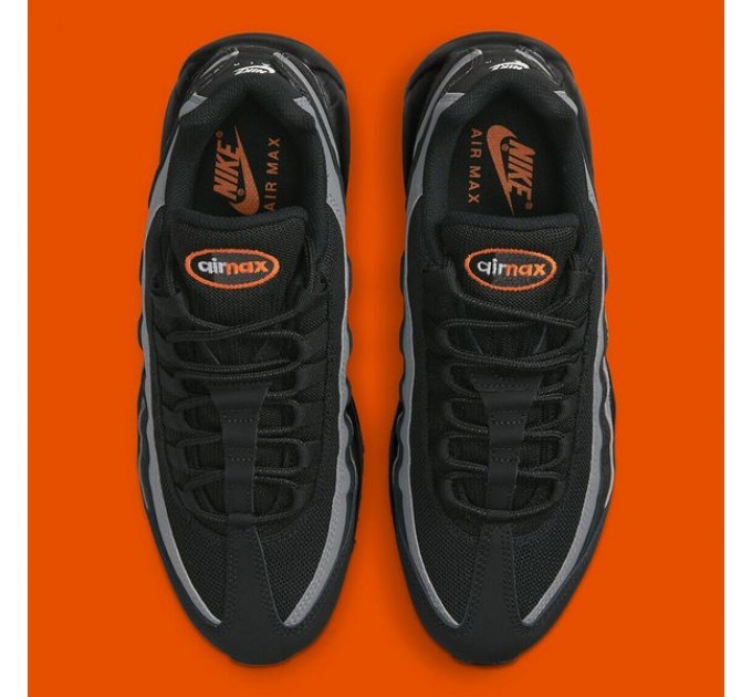 Кроссовки Nike Air Max 95 DX2657-001
