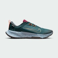 Кроссовки Nike Juniper Trail 2 Goretex V2 HM9734-300