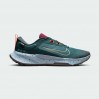 Кроссовки Nike Juniper Trail 2 Goretex V2 HM9734-300