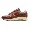 Кроссовки Nike Air Max 1 Patta Next Wave Dark Russett DO9549-200