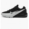 Кросівки Nike Air Max Pulse DR0453-005