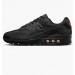 Кроссовки Nike Air Max 90 DZ4504-003
