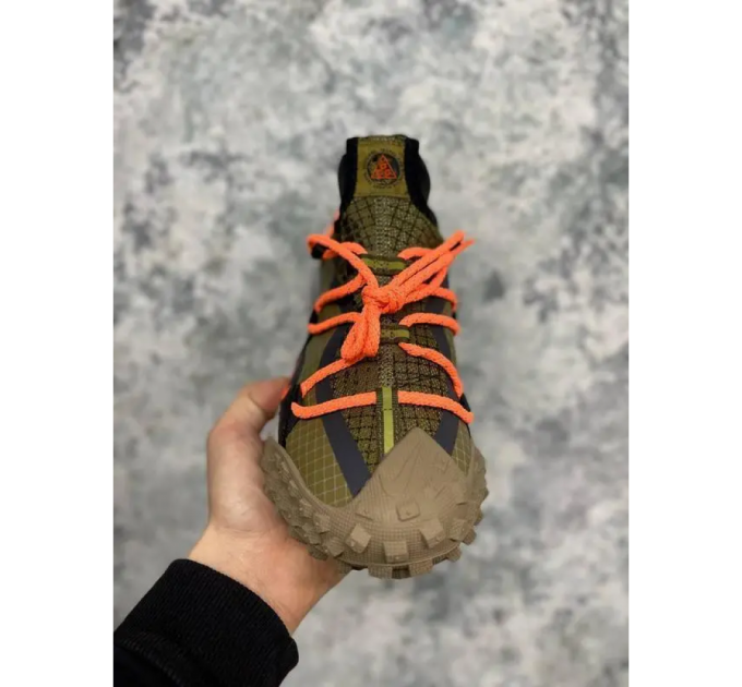 Кроссовки Nike Acg Mountain Fly Low Gtx Se DD2861-200