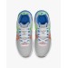 Кроссовки Nike Lebron Witness 7 Grey Fog Multi-Color DM1123-003
