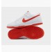 Кросівки Nike Dunk Low Retro DV0831-103
