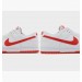 Кроссовки Nike Dunk Low Retro DV0831-103