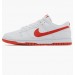 Кросівки Nike Dunk Low Retro DV0831-103