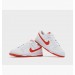 Кросівки Nike Dunk Low Retro DV0831-103