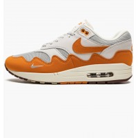 Кроссовки Nike Air Max 1 Patta Waves Monarch DH1348-001