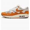 Кроссовки Nike Air Max 1 Patta Waves Monarch DH1348-001