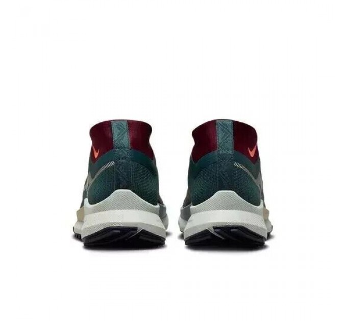 Кроссовки Nike React Pegasus Trail 4 Gtx V2 HM9728-300