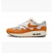 Кроссовки Nike Air Max 1 Patta Waves Monarch DH1348-001