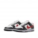 Кросівки Nike Dunk Low Retro FB3354-001