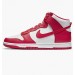 Nike Dunk High DD1399-106